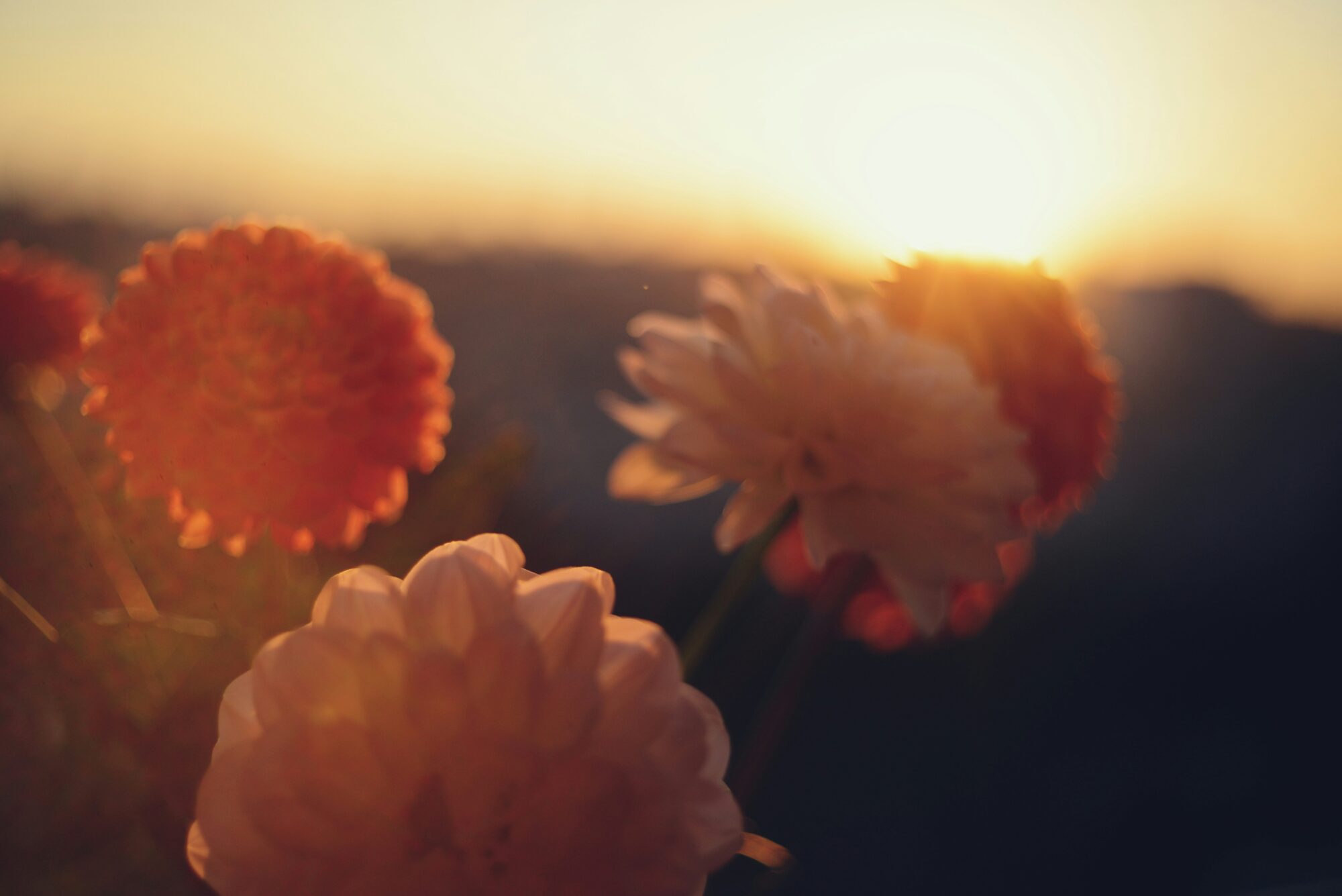 Test 2